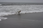 IMG_0780.JPG