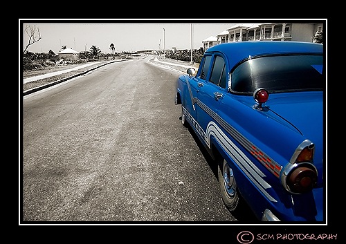 [DSC_0304feature[3].jpg]