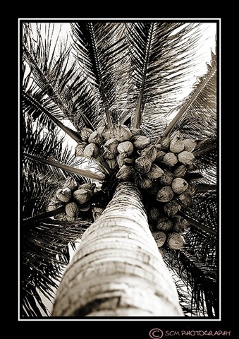 [DSC_0349blk[3].jpg]