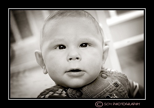 [DSC_0155cocoa[3].jpg]