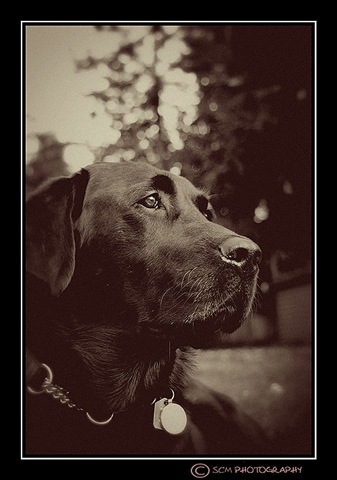 [DSC_0048vintage[3].jpg]