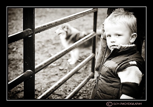 [DSC_0070blk[3].jpg]