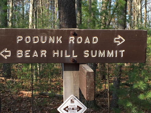 Bear Hill Summit 