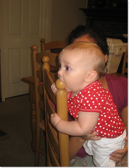This is a chair.  It tastes like chair.