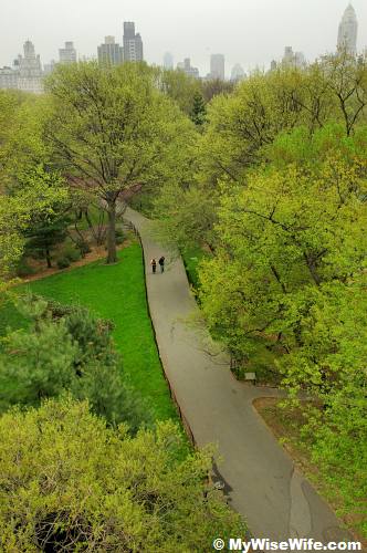 Central Park Path - New York City Central Park Path - New York City