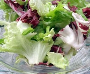 [lettuce_salad_vegetable_240845_l[5].jpg]