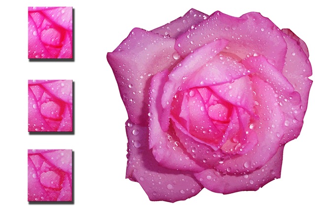 [quadro rosa 1.jpg]