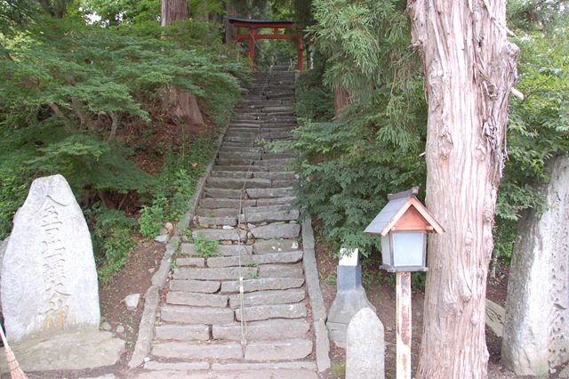 [DSC_96902.jpg]