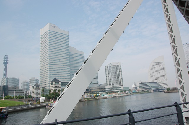 [DSC_12633.jpg]