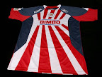 Uniforme local de Chivas de cara al Apertura 2008