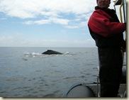 2008 05 22_Whale watching_0086