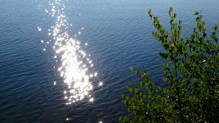 P1010165.jpg