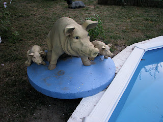 IMG_1686.JPG