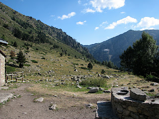 IMG_1829.JPG