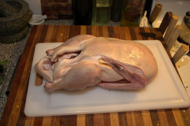 [Duck_Confit001[3].jpg]