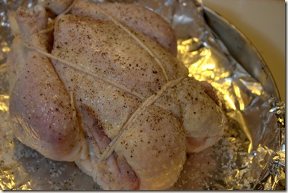 Shibari_Chicken006
