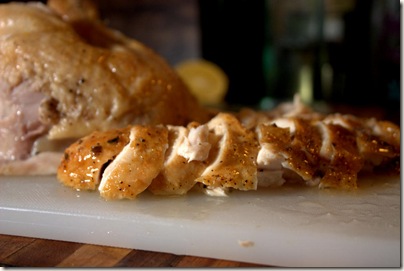 Shibari_Chicken012