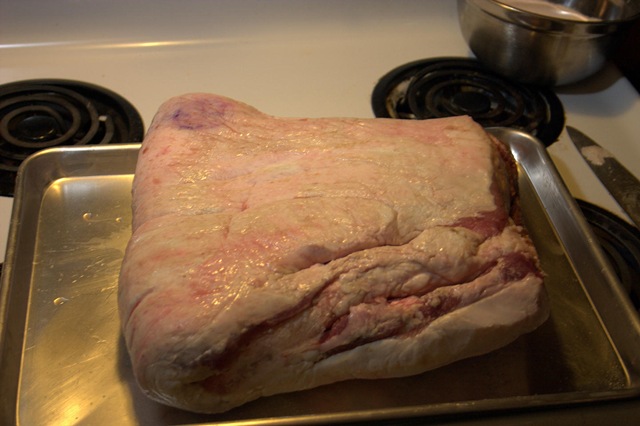 [Fresh Bacon002[3].jpg]