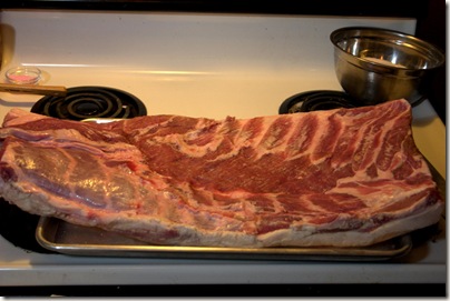 Fresh Bacon003