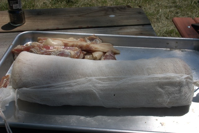 [CRW_6064.CRW3.jpg]