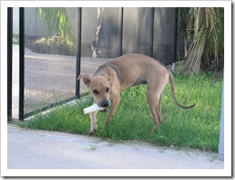 Kayna's First Day 003