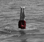 IMG_0396Crop.JPG