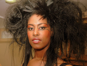 Pr&eacute;sentation de la collection coiffure Extravaganza (printemps-&eacute;t&eacute; 2008) &agrave; Evian par Christine...