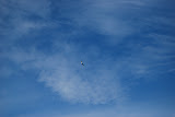 DSC_0133.JPG