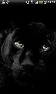 How to download Black Panther Live Wallpaper 1 mod apk for android