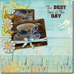 besttime080508