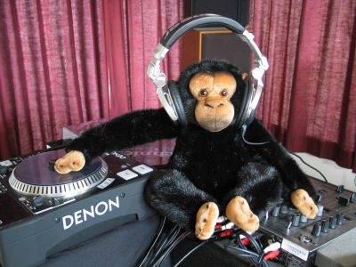 [dj_monkey[9].jpg]