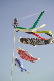 [180px-Koinobori4797[2].jpg]