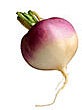 [turnip2.jpg]