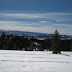 Bear Valley Back Country 004.jpg