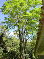 DSC05059.jpg