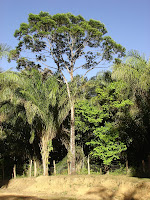 DSC05098.jpg