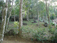 DSC05107.jpg