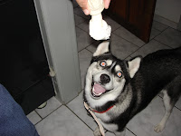 DSC05443.JPG