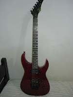 dsc06314.jpg