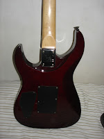 dsc06320.jpg