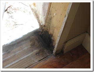 houserenovations 367