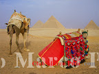 Autor:PILAR ORAA GORGAS Viaje:EGIPTO