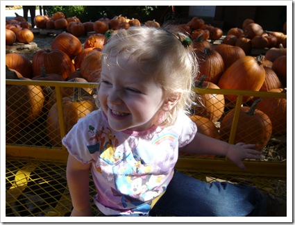 PumpkinPatch1 PumpkinPatch1