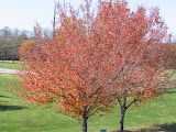 2006Oct 030.jpg
