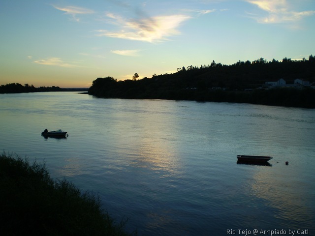 [P8150246[17].jpg]