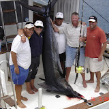 Big Game Fishing Mai 2008