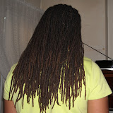 hair diary