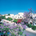 Paphos Gardens (Studio)