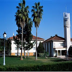 Occidental Cordoba
