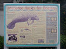 Manatee Basics for Boaters